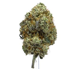 Chimera | $100/oz | NEW!