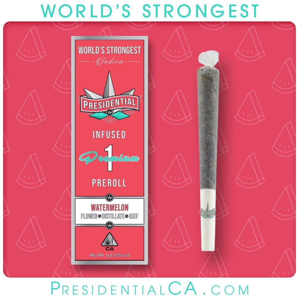 1G PREROLL - WATERMELON