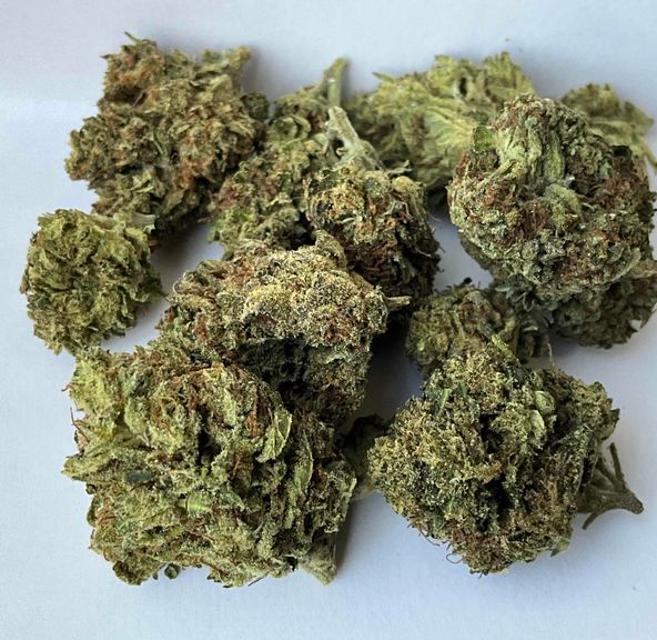 Bro Grown - Blue Afghan 7G - FLOWER