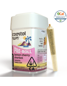 Coastal Sun - Lemon Cherry Sherbet 10pk Prerolls 3.5g