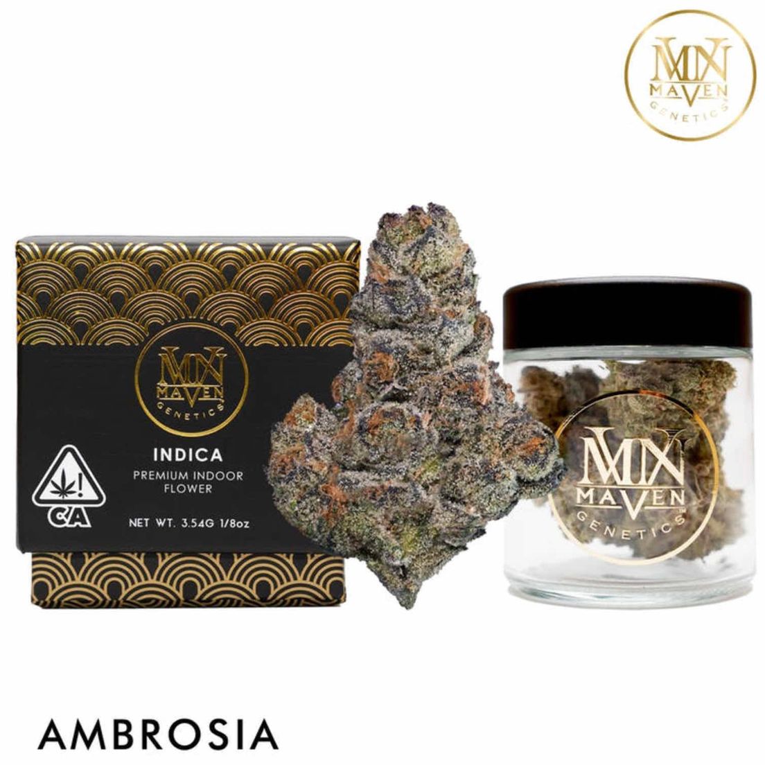 Ambrosia