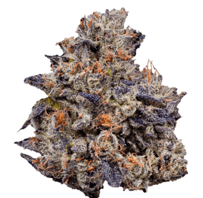 West Coast Cure - Lemon Cherry Gelato (14G)