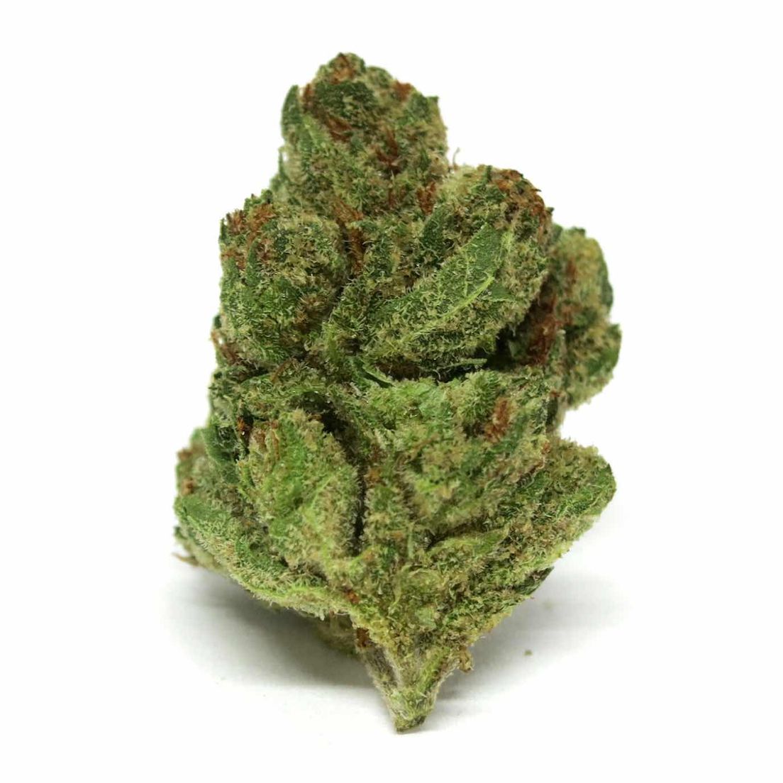 Super Silver Haze