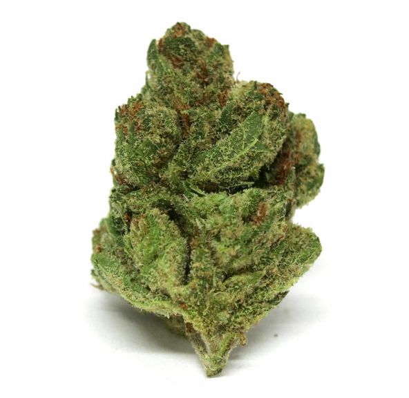 Super Silver Haze