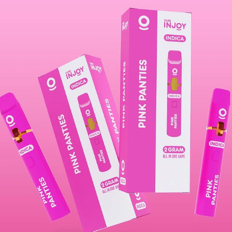 Pink Panties Disposable