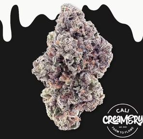 Cali Creamery - Karamel Kutthroat 3.5g