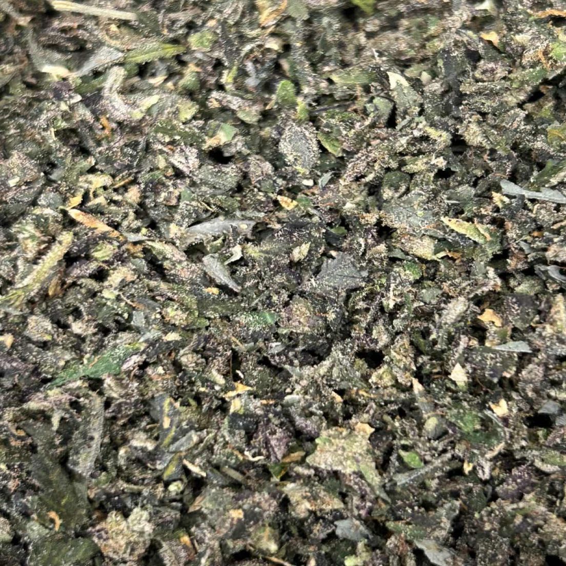 Emergen-C Shake *4.23 Terps!