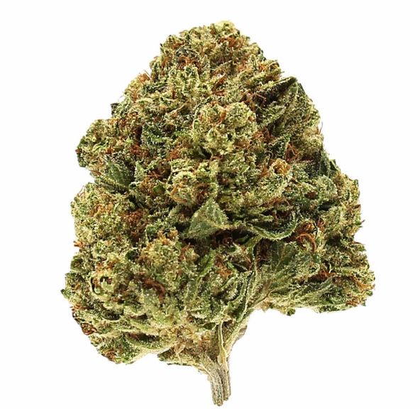 Canna Trust Lemon Pound Cake Bigs 1/2 Ounce (24% THC) GREEN HOUSE