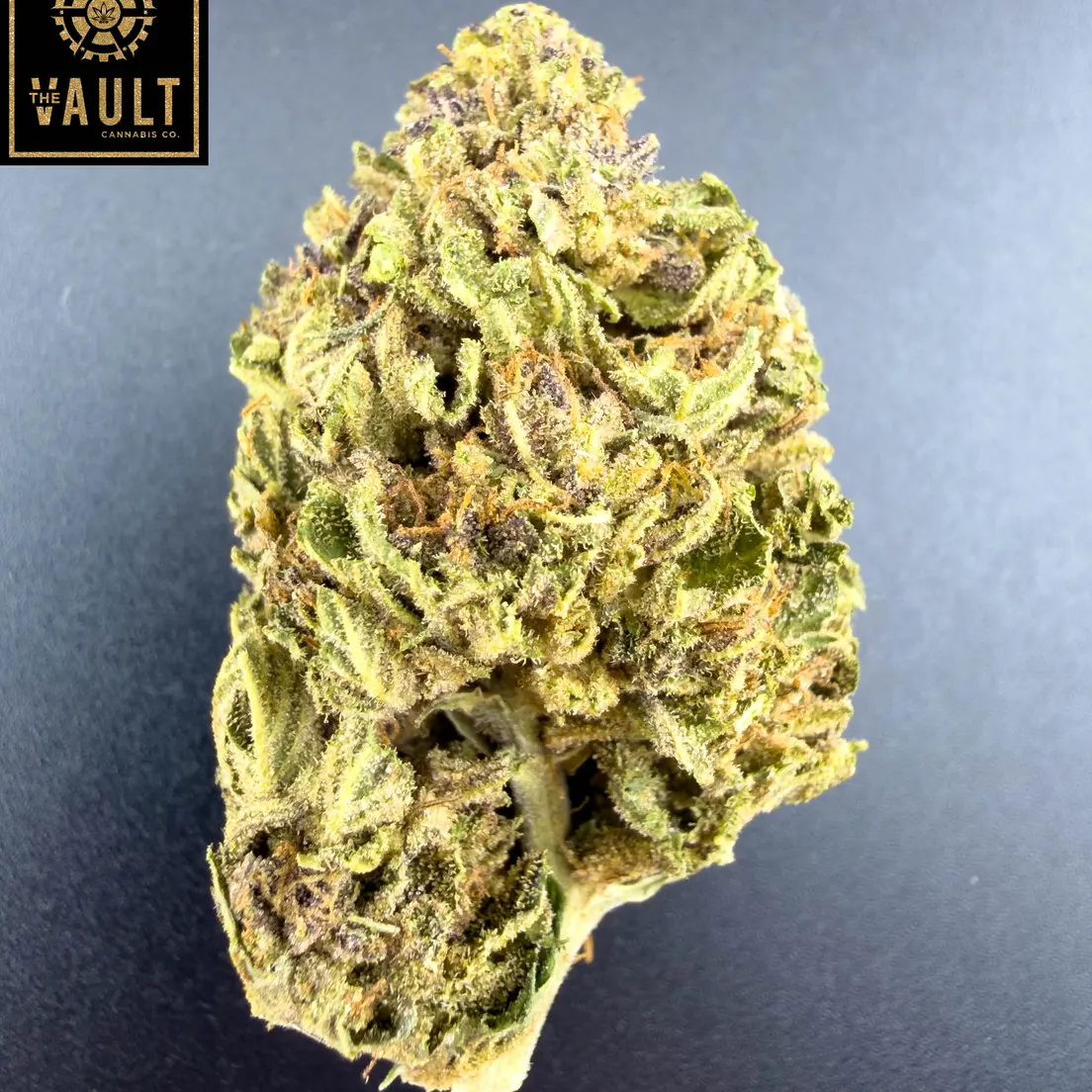 14g - CREAM QUEEN (AAA)