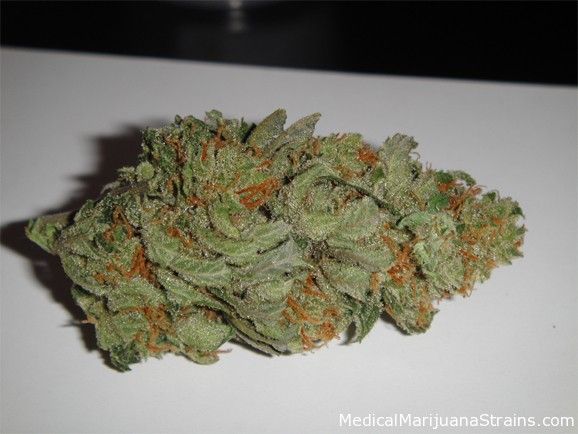 Emerald Family - Chiesel 3.5g