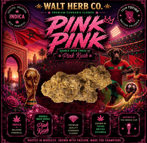 14G Walt Herb Co. Pink Pink Team Morocco