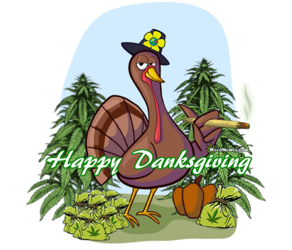 ***PROMO*"DanksGiving"--House Pick 100mg Edible + 1g Preroll + 1 Cozy + Rolling Papers w/ min. order!