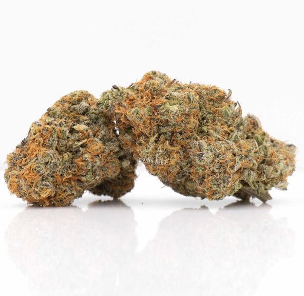 7G - Garlic Breath