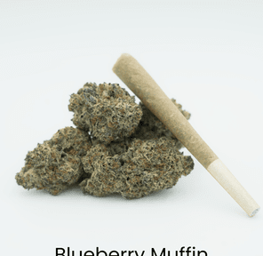 . Preroll Blueberry Muffin Grasslandz 1g