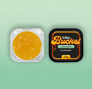 Butter Popz - Live Sugar - Bucket