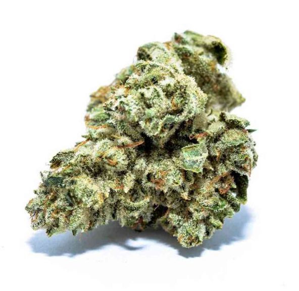 8 Bit Buds Super Glue 28g 15.8%