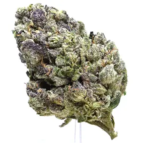 Blue Waffles (LSO)