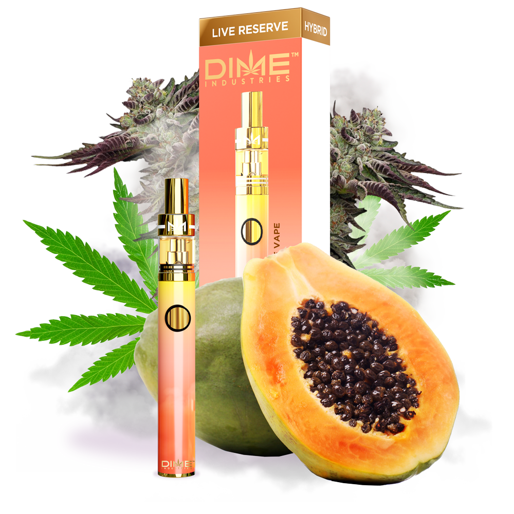 Dime Industries RL - Papaya - 1G