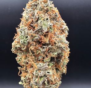 Black Cherry Punch - Living Matter