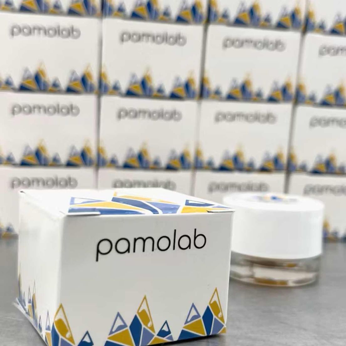Pamolab Cured Resin White Box NORTHERN HAZE