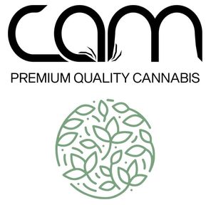 CAM Pre-roll Triangle Mints 1g