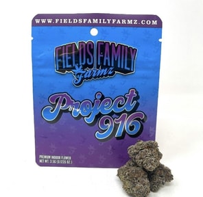 Project 916