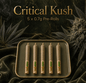 0.7G Pre-Roll: Critical Kush (I) 5 Pack