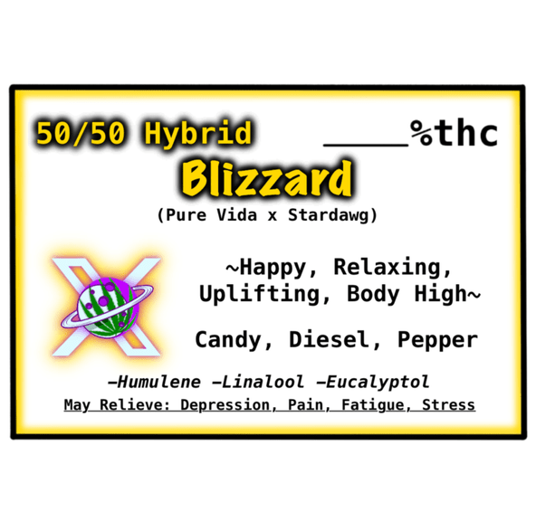 Blizzard ($40 Tier)