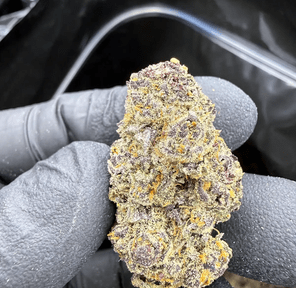 Hoka Haze (RCWM) - Cap Junky, 3.5 grams