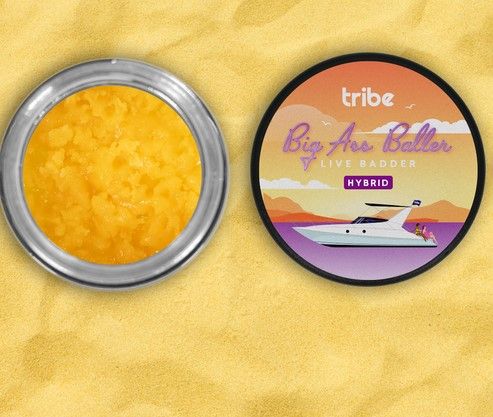 TRIBE HIBISCUS HEADBAND LIVE BADDER BALLER JAR 14G