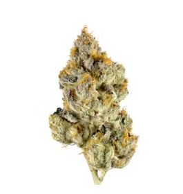 Flower- Lemon Cherry Gelato Bulk