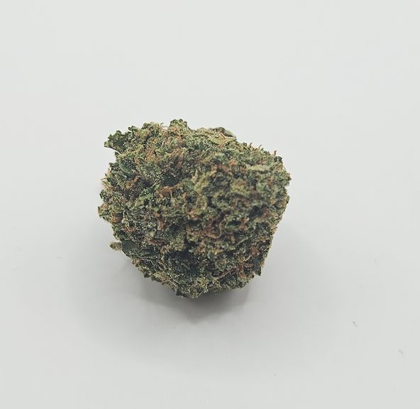 *Indoor - Pink Tuna - 26% - IDH