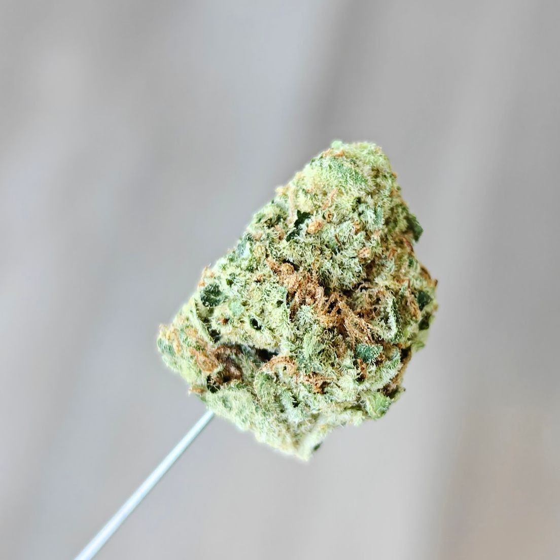 Zips - Skywalker OG - 7g