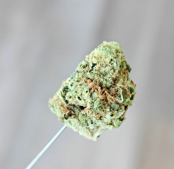 Zips - Skywalker OG - 7g