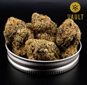 AAAA | GELATO 33 ⭐️ NEW ARRIVAL ⭐️