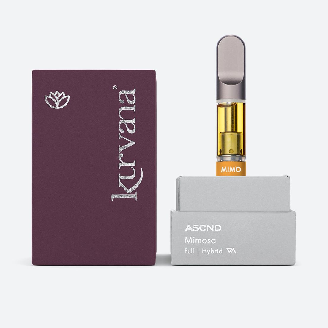 1g Mimosa ASCND - KURVANA