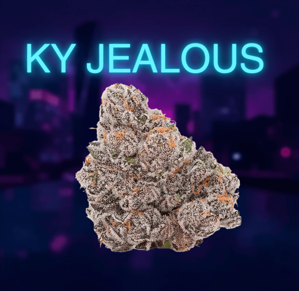 Flower: KY Jealous #4 - Seed & Streain - 3.5G