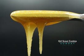 Girl Scout Cookies Sunday 1G Cured Resin