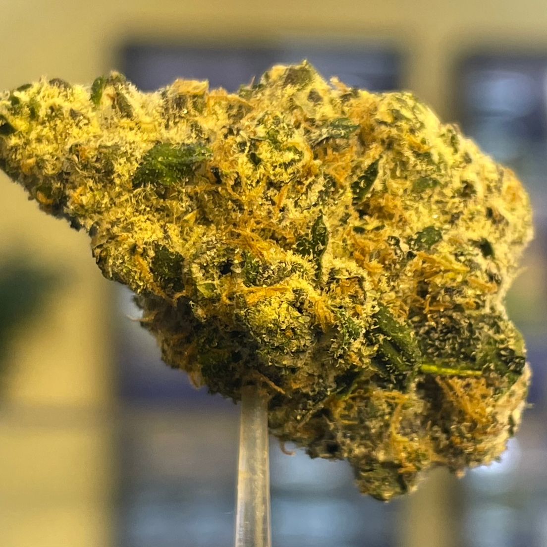ALTVM - Prepacked 3.5G - Mafia Funeral x Jessica Rabbit