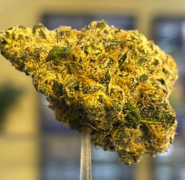 ALTVM - Prepacked 3.5G - Mafia Funeral x Jessica Rabbit