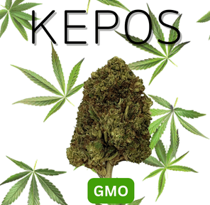 Kepos - GMO 3.5G - PREMIUM FLOWERS