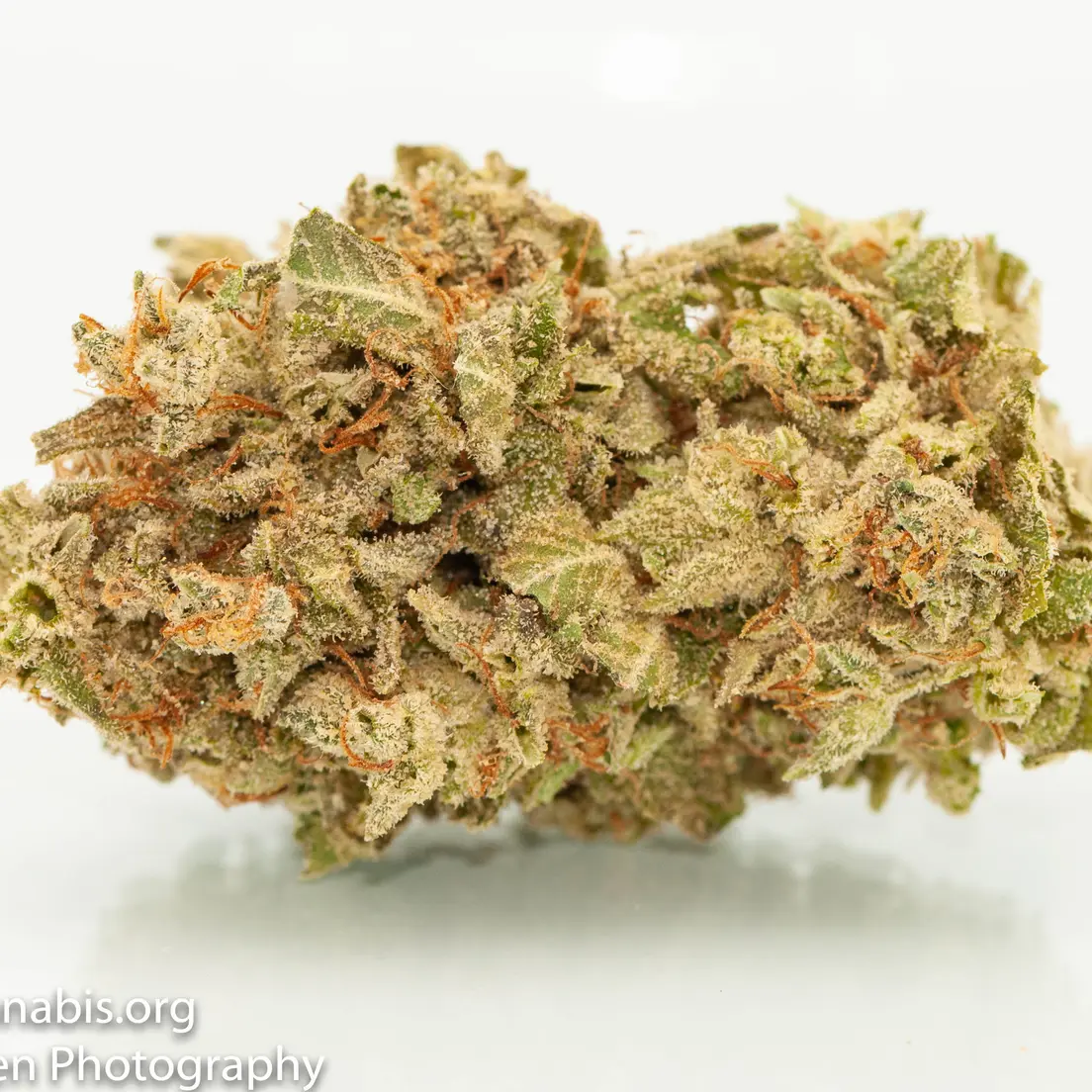 Durban Poison