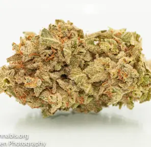 Durban Poison