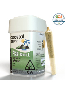Coastal Sun - OG Kush Breath 10pk Preroll 3.5g