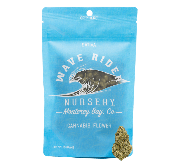 Wave Rider - High Society 14G - FLOWER