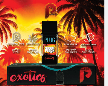 PLUG PLAY PARADISE PUNCH 1G VAPE POD HYBRID