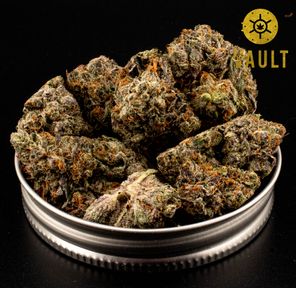 AAAA | PINK PRESSURE ⭐️ NEW ARRIVAL ⭐️