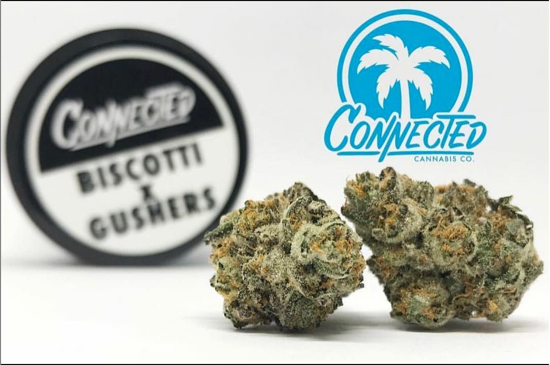 Biscotti x Gushers Premium 3.5g jar from Connected Cannabis Co.