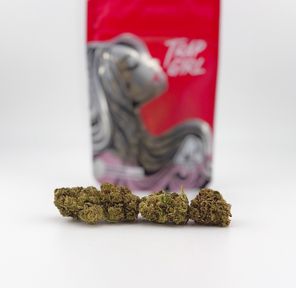 1/8 Harlequin (30.39%/Sativa) - Trap Girl