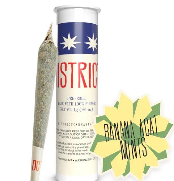 Preroll-Banana Acai Mints 2pk